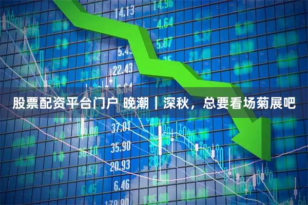 股票配资平台门户 晚潮｜深秋，总要看场菊展吧