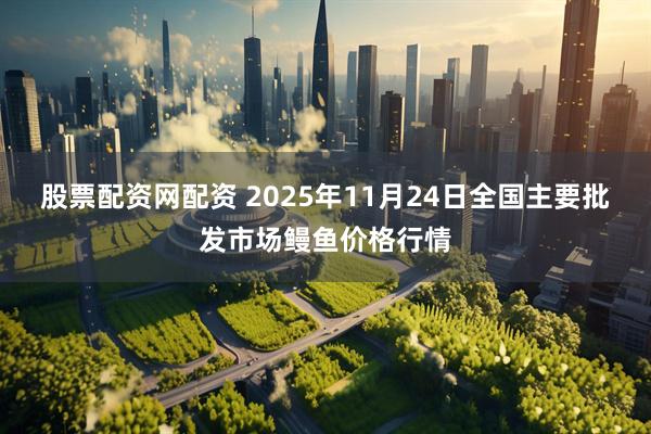 股票配资网配资 2025年11月24日全国主要批发市场鳗鱼价格行情