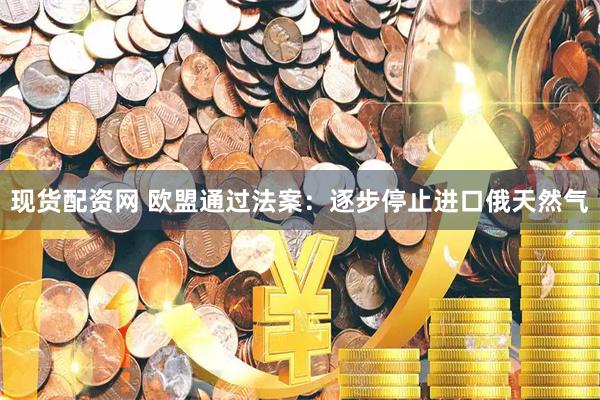 现货配资网 欧盟通过法案：逐步停止进口俄天然气